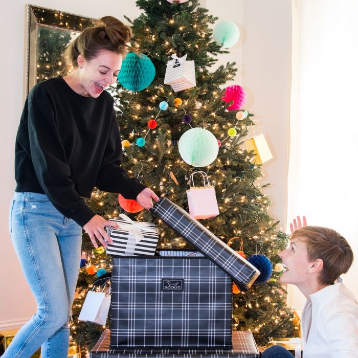 Rump Roost Med Tartan Scorsese