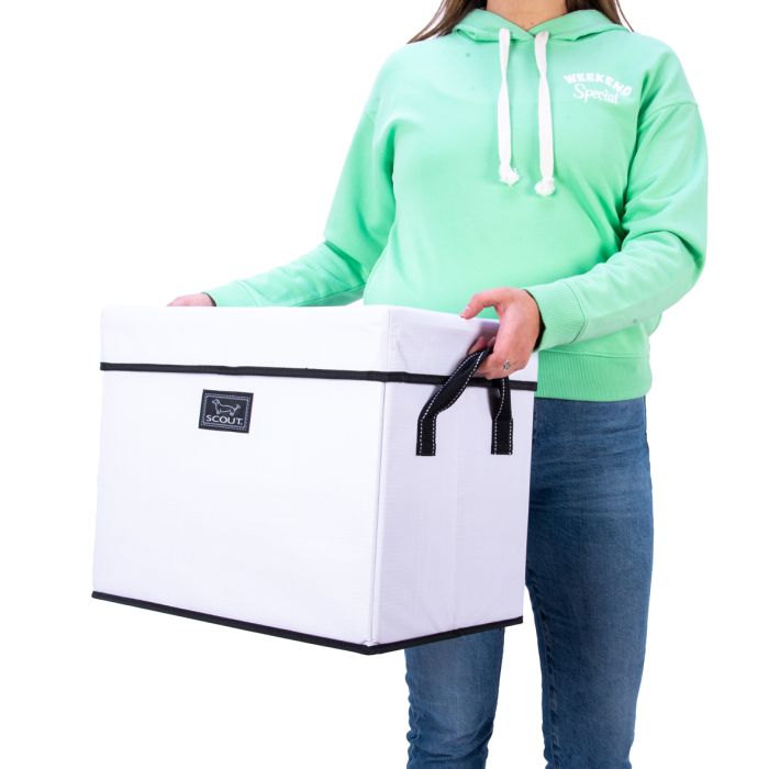 Rump Roost Med White