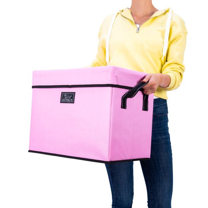 Rump Roost Med Pink Lemonade